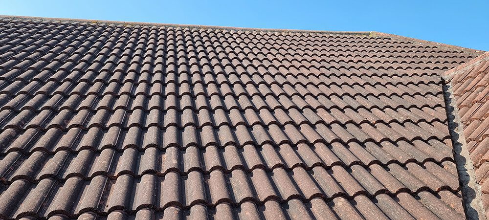 EcoClean Services Ltd. - Roof Cleaning and Treatment in Rochford-2