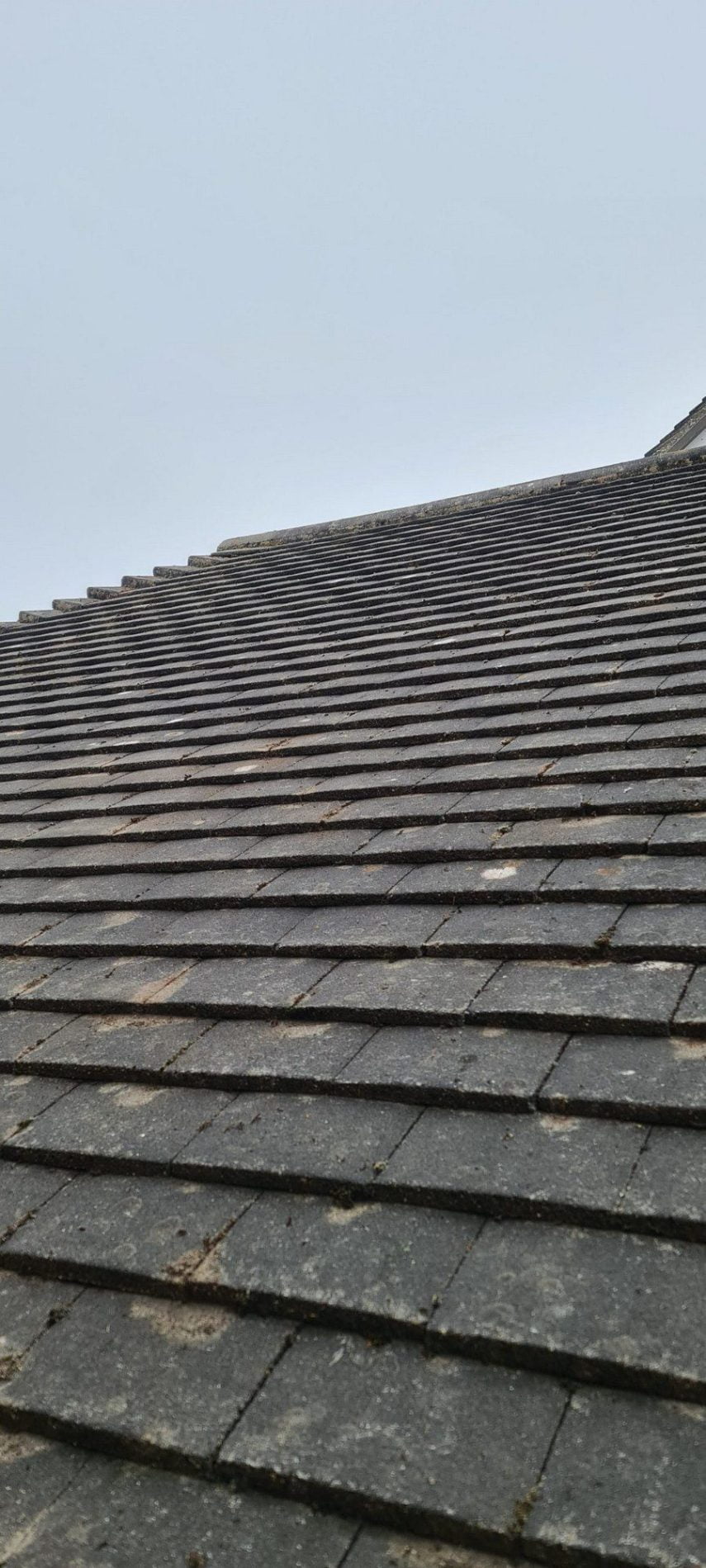 Roof Cleaning and Treatment in Coggeshall | EcoClean Services Ltd.-4