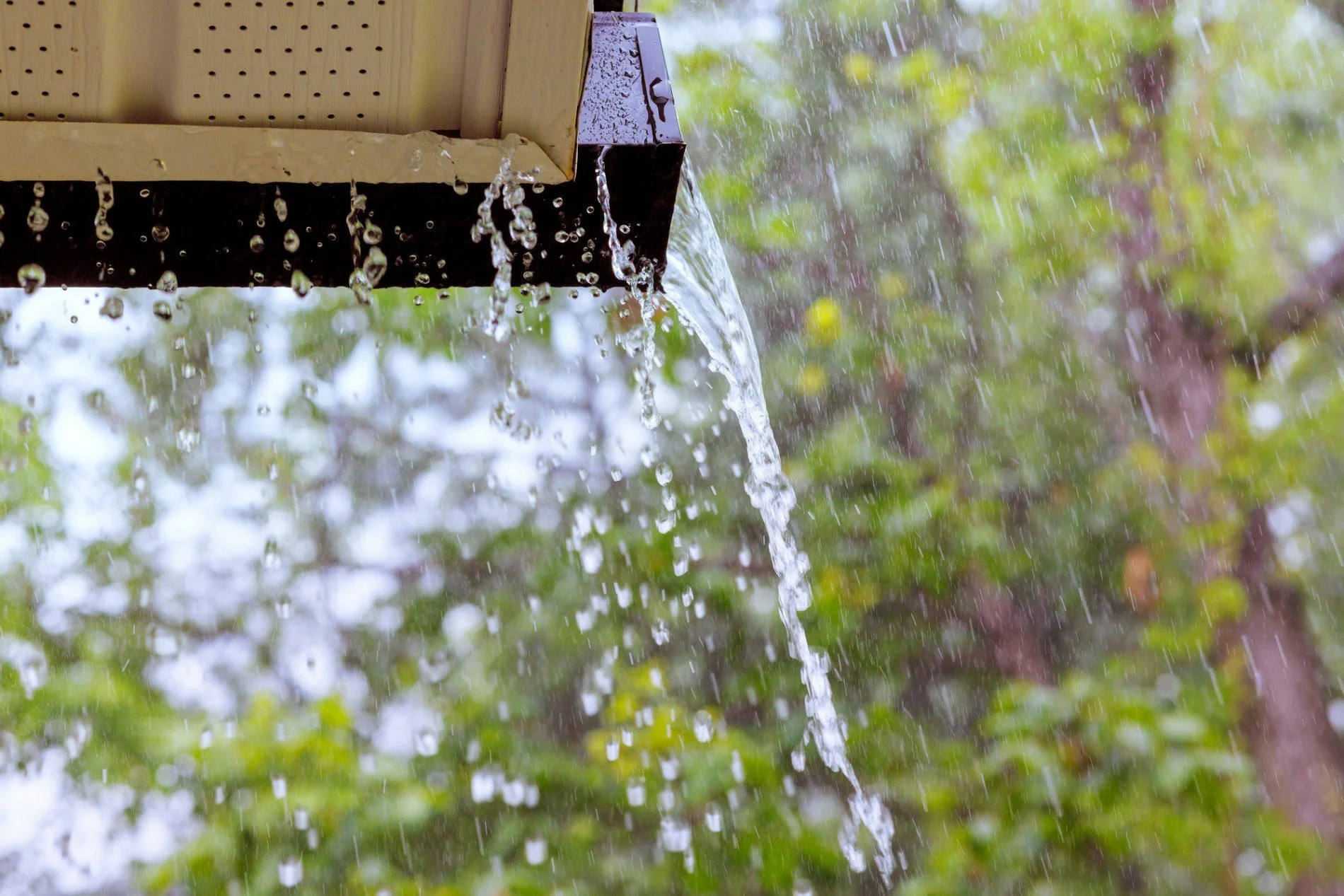 Gutter Cleaning in Rayleigh | EcoClean Services Ltd.-1
