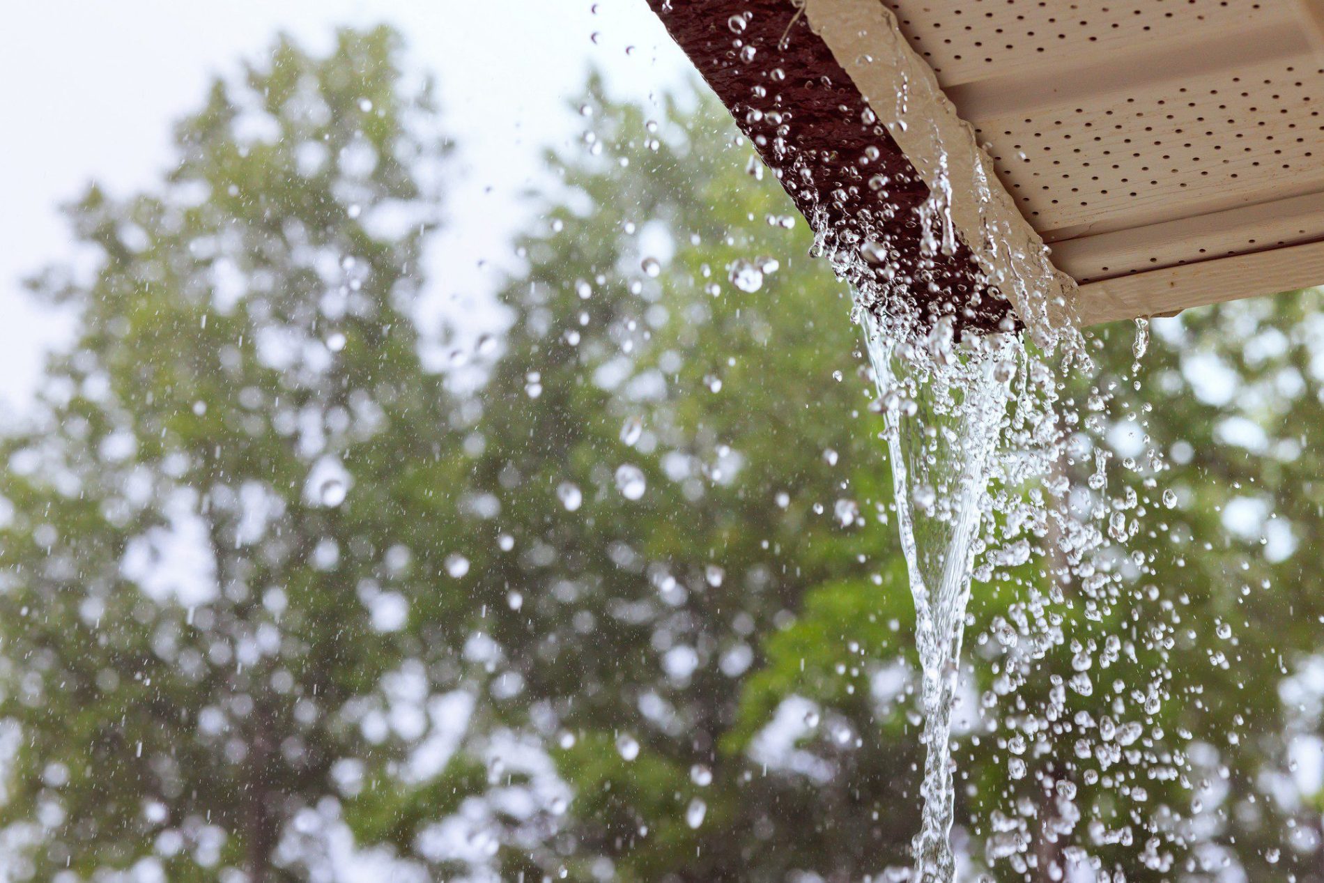 Gutter Cleaning in Romford | EcoClean Services Ltd.-2