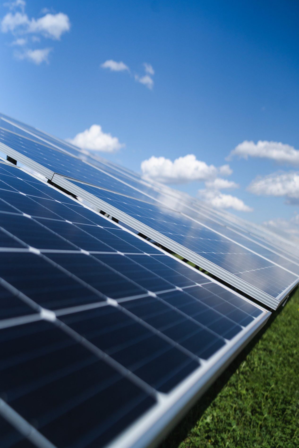 Professional Solar Panel Cleaning Services in Walton on the Naze | EcoClean Services Ltd.-0