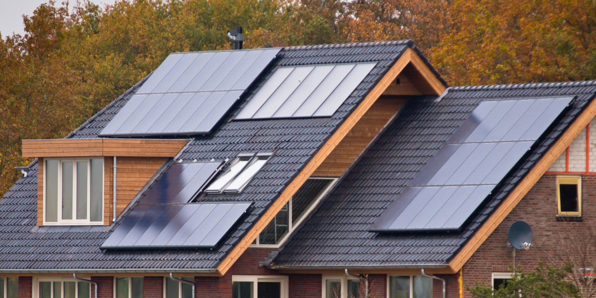 Professional Solar Panel Cleaning Services in Harlow | EcoClean Services Ltd.-3