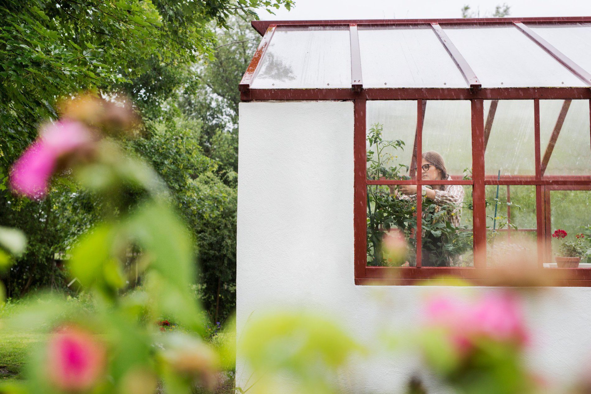 Saffron Walden Conservatory Roof Cleaning | EcoClean Services Ltd.-4