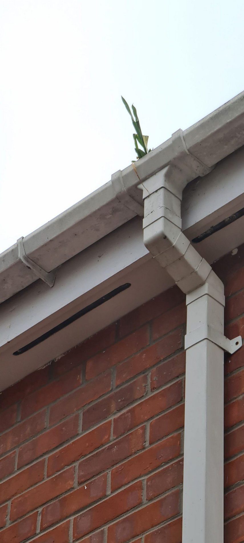 Gutter Cleaning Services in Chelmsford | EcoClean Services Ltd.-3