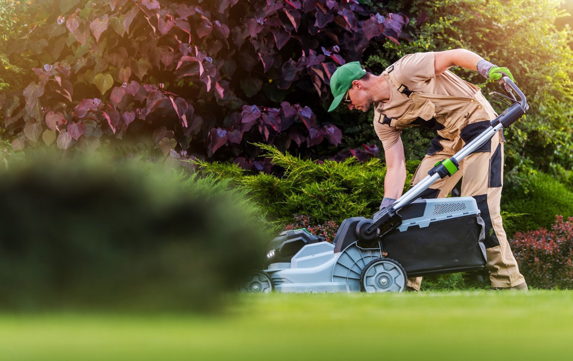 The image shows a person mowing a lawn. The person is wearing a green baseball cap, beige work clothes, and gloves while operating a gray lawn mower. In the background, there is a lush array of plants with varying shades of green and some purple foliage, which suggests a well-maintained garden or yard. The sunlit scene gives the impression of a warm, outdoor environment likely focused on garden care or landscaping.