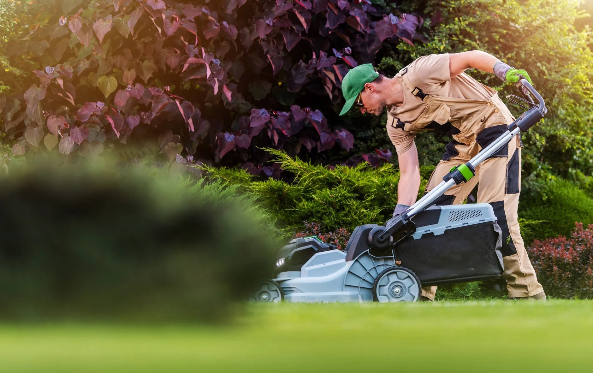 This image shows a person mowing a lawn with a push lawn mower. The person is wearing a green baseball cap, sunglasses, and khaki work attire, with gloves on their hands, indicating they are taking precautions to protect themselves while doing yard work. The background is nicely landscaped with a mix of lush green shrubs and plants with reddish-purple leaves, suggesting a well-maintained garden. The focus is on the person and the mower, set against the vibrant backdrop of the garden, capturing a moment of regular garden maintenance.