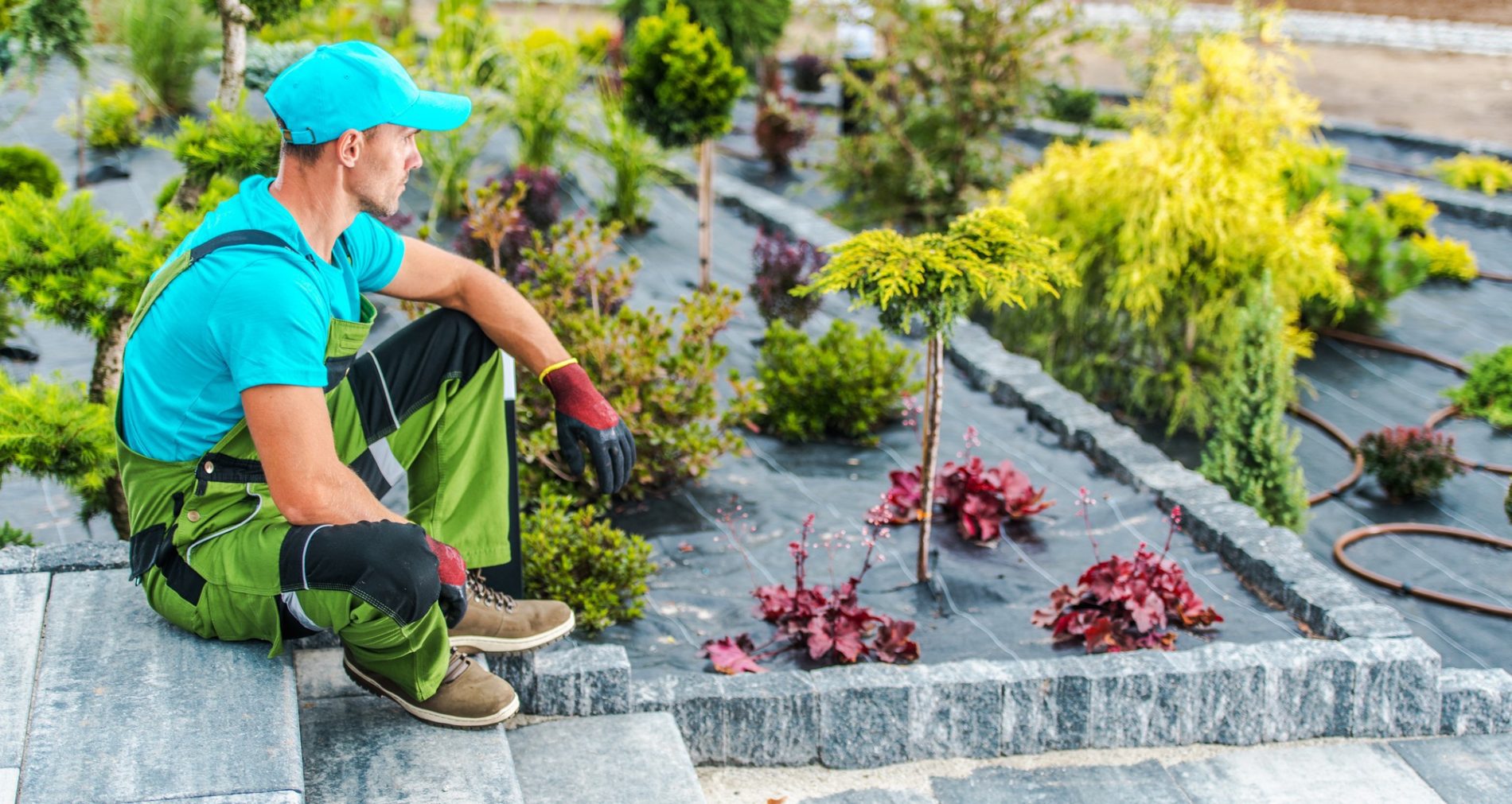 This image features an individual who appears to be a gardener or landscaper. They are sitting on stone steps and wear a bright blue t-shirt, a cap of matching colour, green work pants with reflective stripes, and work boots. The person is also wearing gardening gloves and appears to be taking a break or contemplating the garden area.In the background, you can see a garden with various plants and shrubs, some with red leaves, others with green, all laid out on a black landscaping fabric that likely serves to suppress weeds. There is also a drip irrigation hose running across the garden beds, which is a system used to efficiently water plants. The setting looks like it might be a public garden or a large private estate due to the size and layout. The sky is overcast, suggesting cloudy weather conditions.