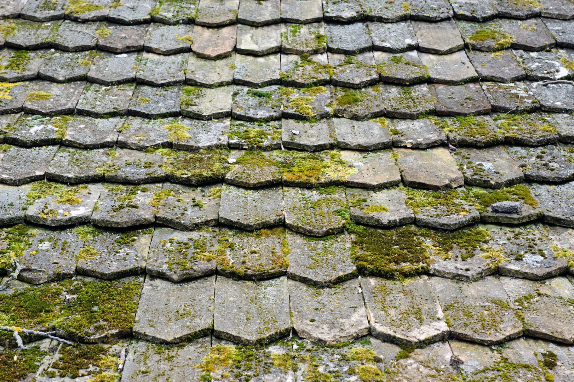 The image depicts an up-close view of a roof covered with old, worn wooden shingles. The shingles show significant signs of age and wear, characterized by their rough texture, cracks, and varying shades of gray and brown. Some of the shingles are warped or slightly lifted, indicating weathering over time. The surface of the wood is heavily weather-beaten, with splintered edges and irregularities, revealing the natural grain patterns of the wood. The gaps between the shingles are more pronounced in some areas, suggesting possible exposure to moisture and elements over the years. The overall impression is of a roof that has endured many seasons, reflecting a rustic, aged aesthetic.